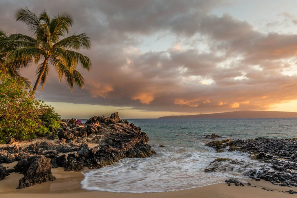 ocean near trees and rocks