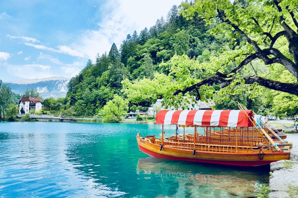 brown wooden boat with white and red striped ceiling dock on gray concrete seawall beside green leaf tree